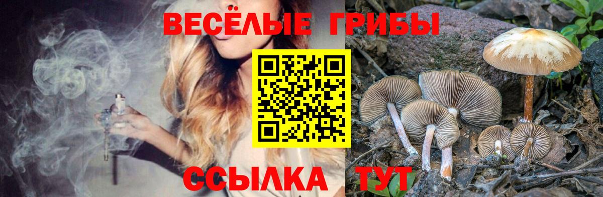 Псилоцибиновые грибы MAGIC MUSHROOMS  Вход с VPN  Саяногорск 
